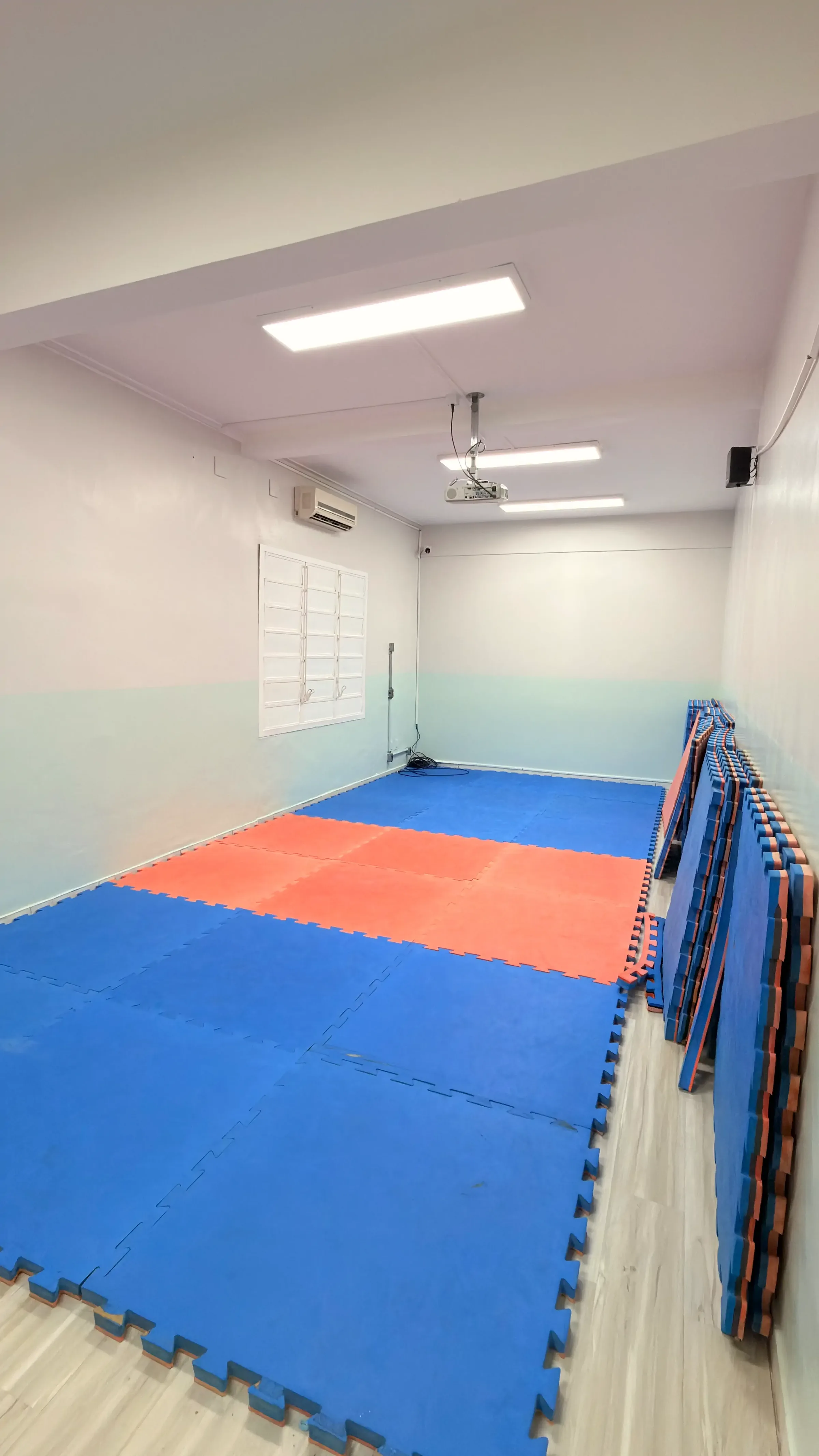 The judo room at Colégio Palas Atena